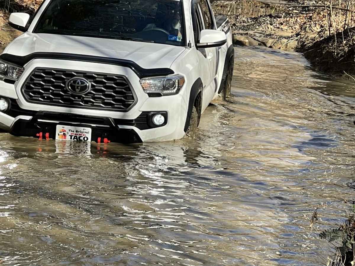 Beech Fork photo 3