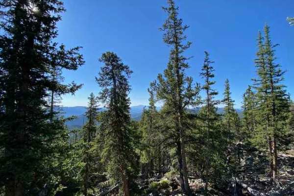 Packer Gulch