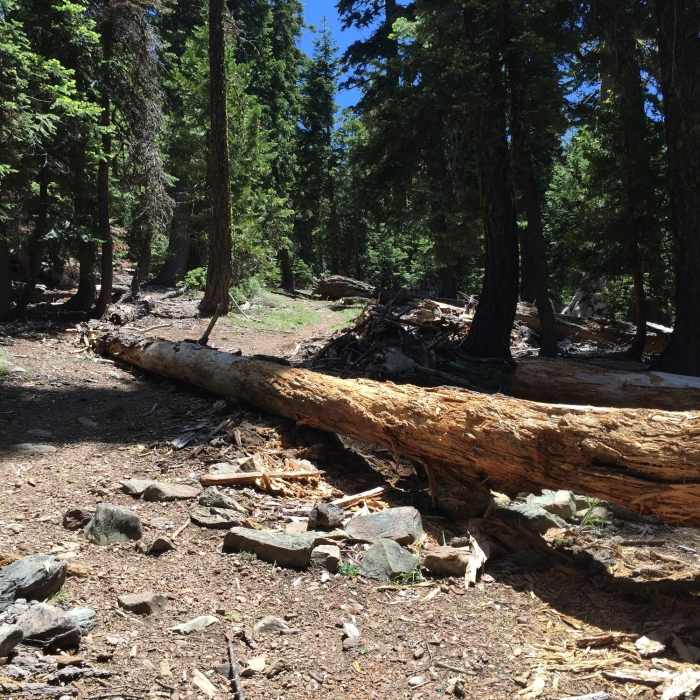 Near Black Rock Lake Trail