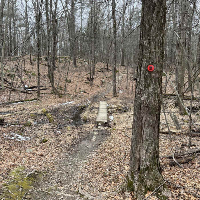 Near Louisa Pond Loop via White-Red-Blue Trails