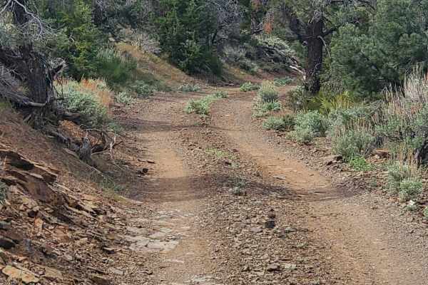 Comet Mine Road