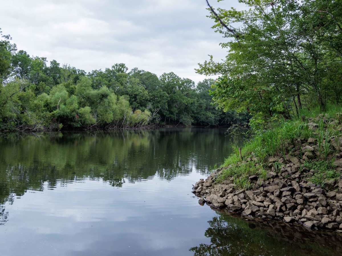 Savannah River Access photo 5