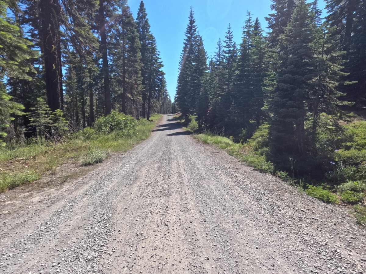 Granite Springs Road - FS 11N99 photo 6