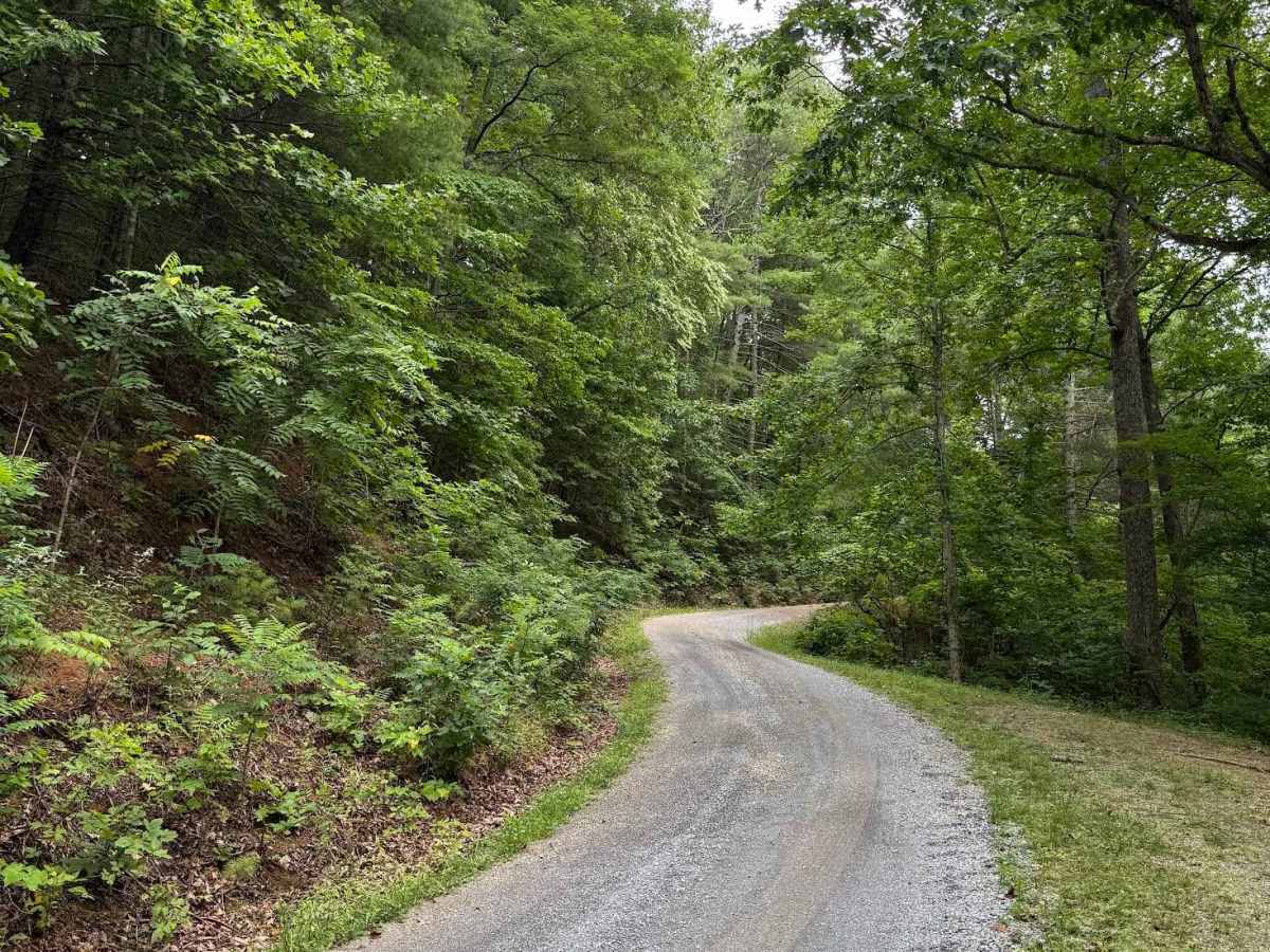 Thomas Mountain photo 3