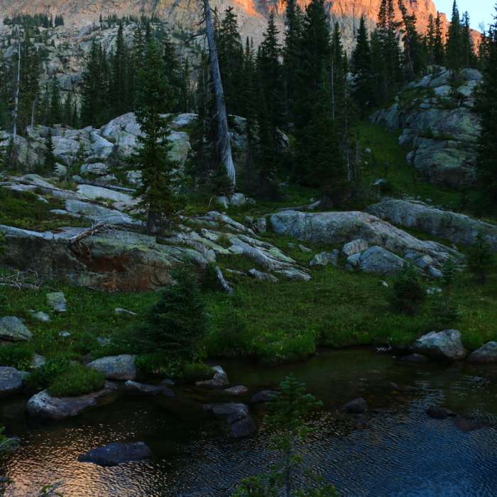 Near Roaring Fork Trail # 3