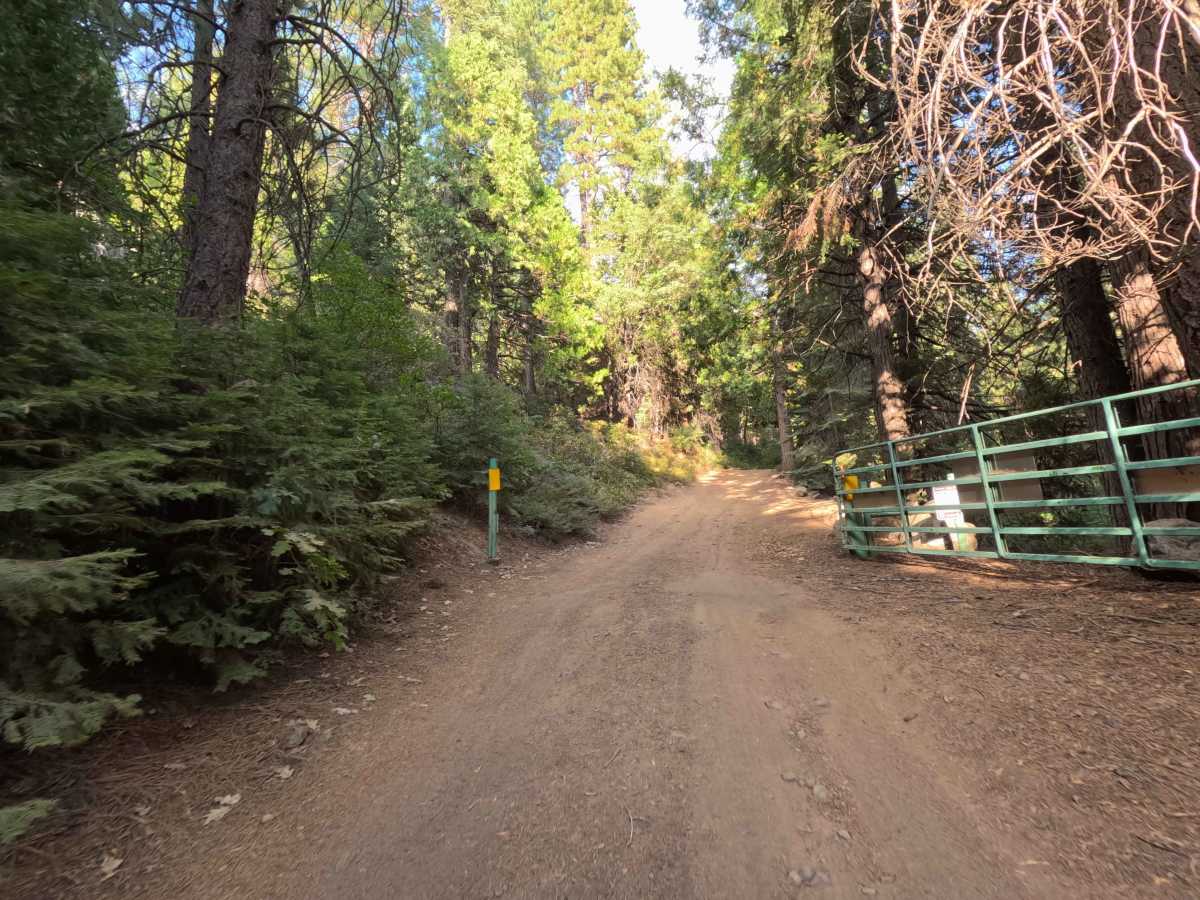 Buffin Meadow Road - FS 5S043 photo 5