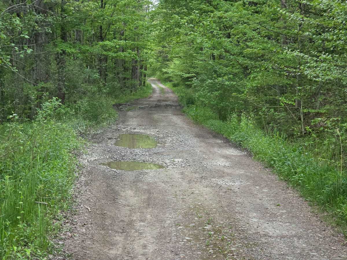 Steve Russell Hill Road photo 3