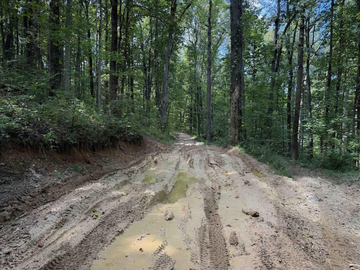High Rock Trail photo 5