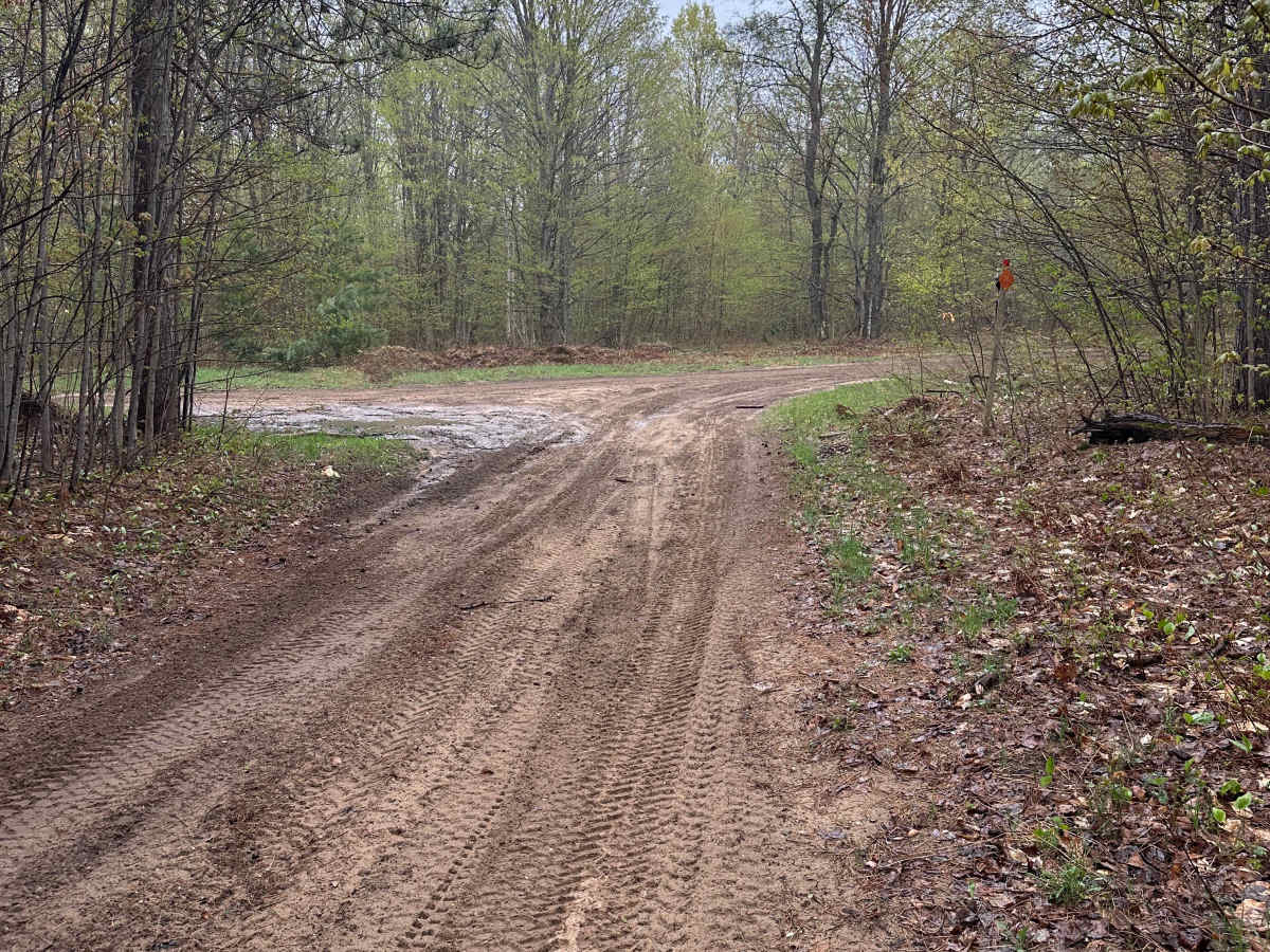 Bebb Road trail photo