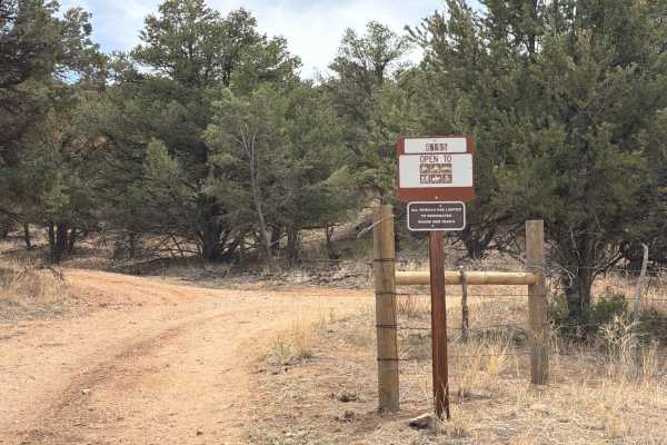 BLM 6195