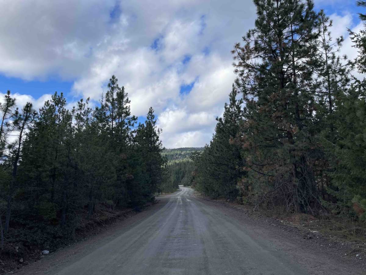 Long Route to Bouleau Lake photo 3