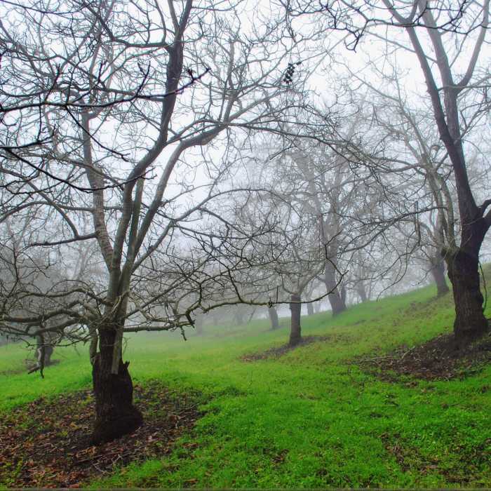 Near Briones-Alhambra Valley Loop