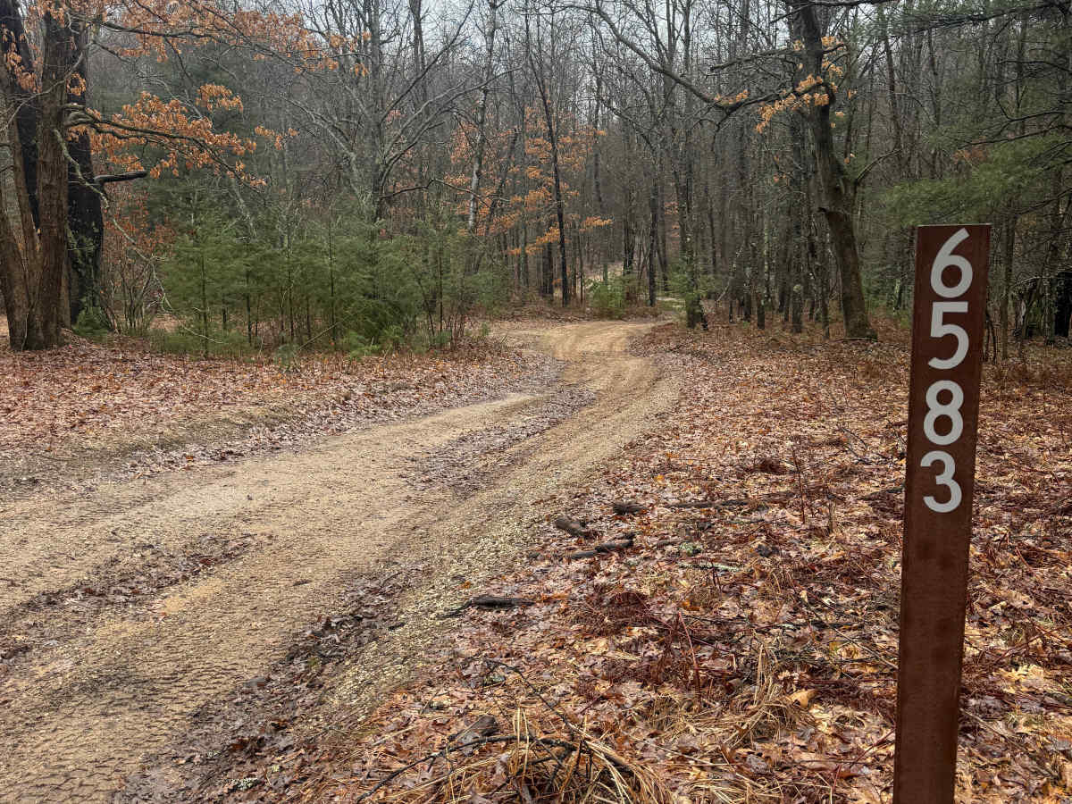 NFS 6583 trail photo