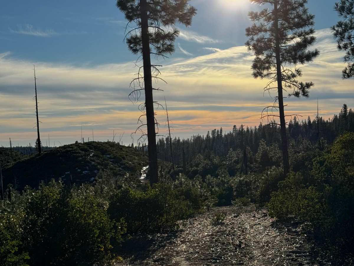American Hill Mine Spur photo 3
