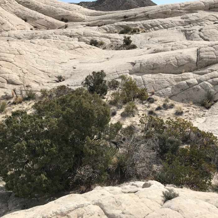 Near Whiterocks Amphitheater