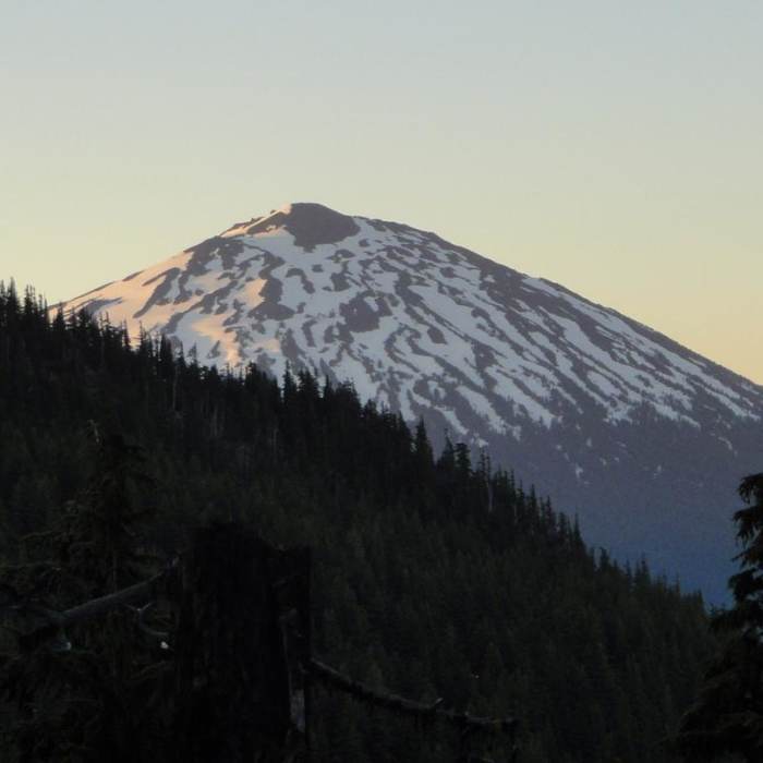 Near South Sister Climber Trail #36 Near South Sister Climber Trail #36