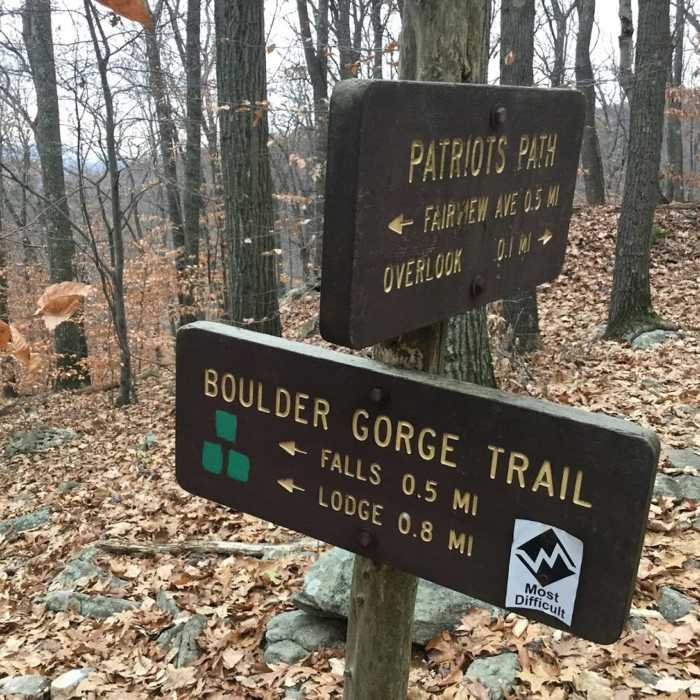 Near Falling Waters Trail