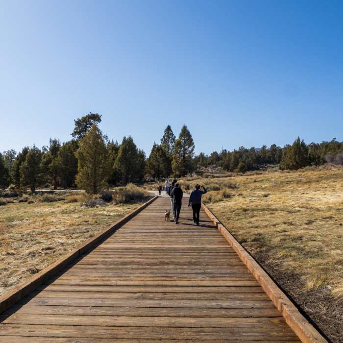 Near Alpine Pedal Path