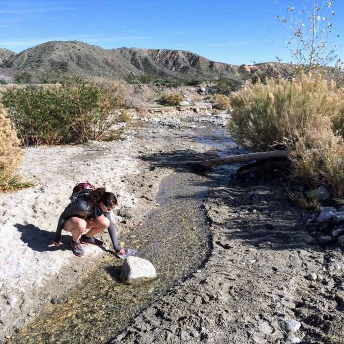 Near Mission Creek Lollipop