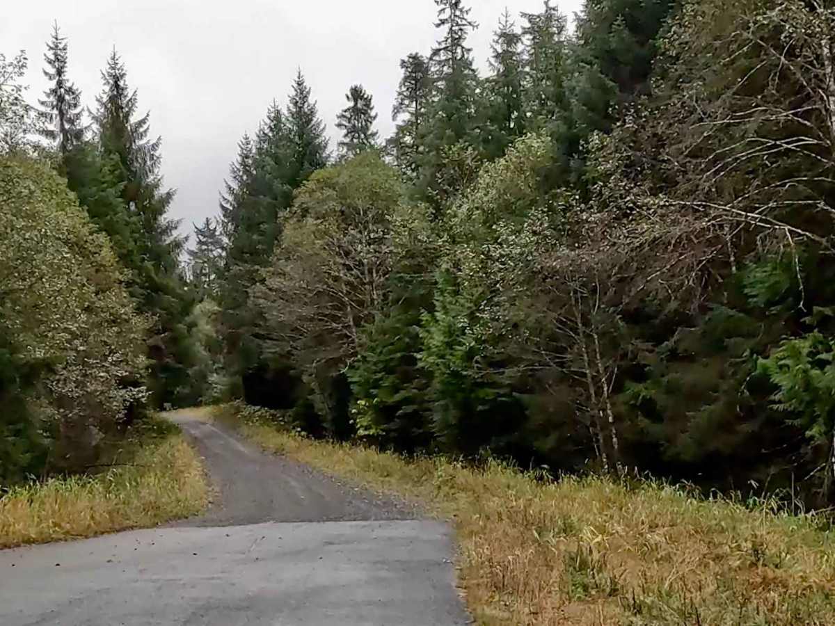 East Prince of Wales Inland Section - FS 3000000 trail photo