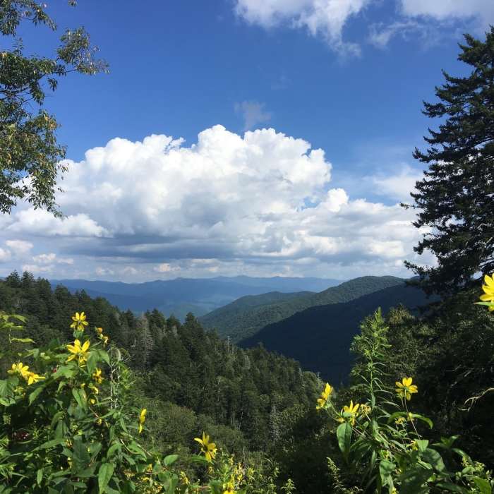 View from Newfound Gap parking lot. Near Smokies Challenge Adventure Run (SCAR)