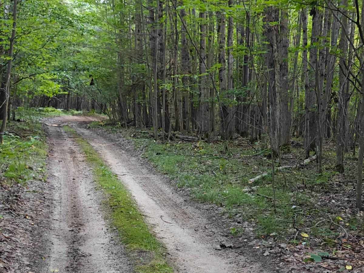 Timreck South Spur trail photo