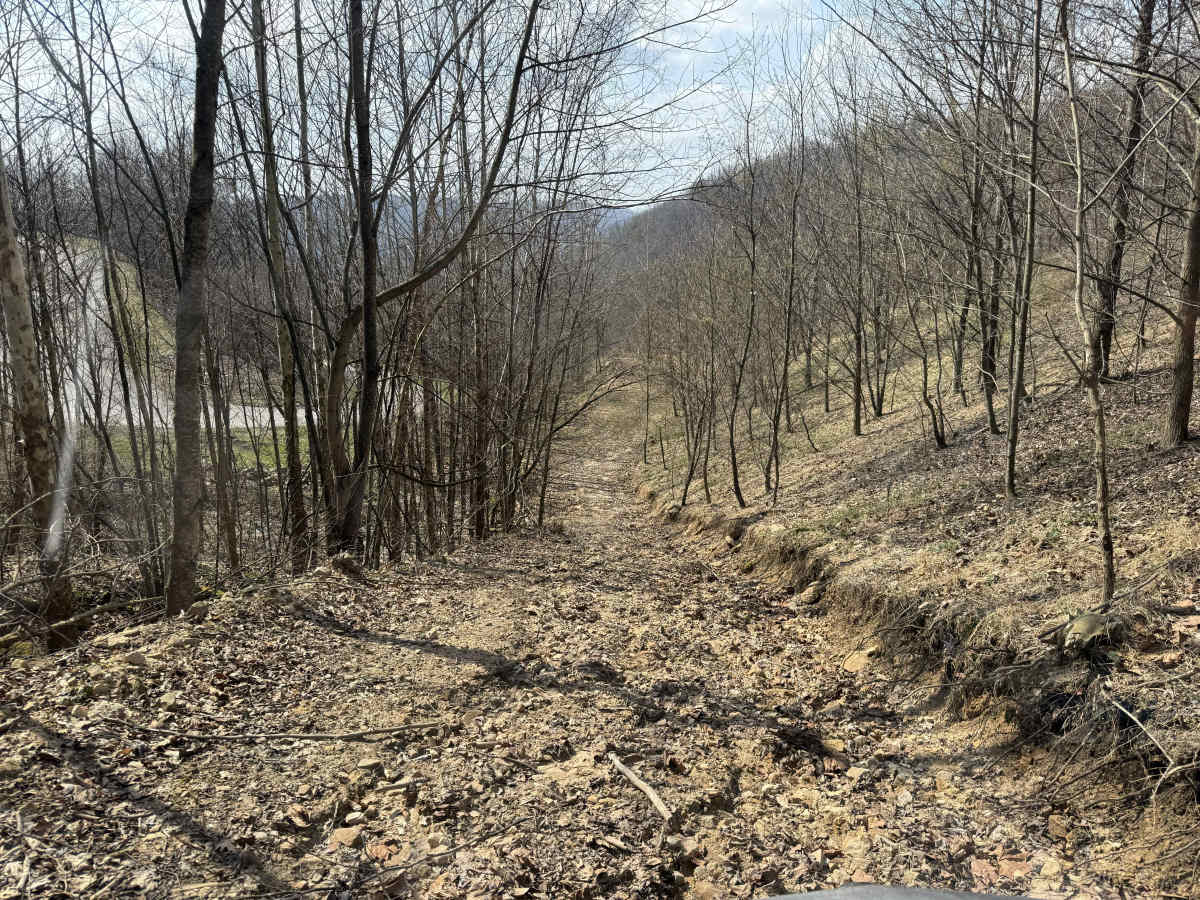 Q23 trail photo