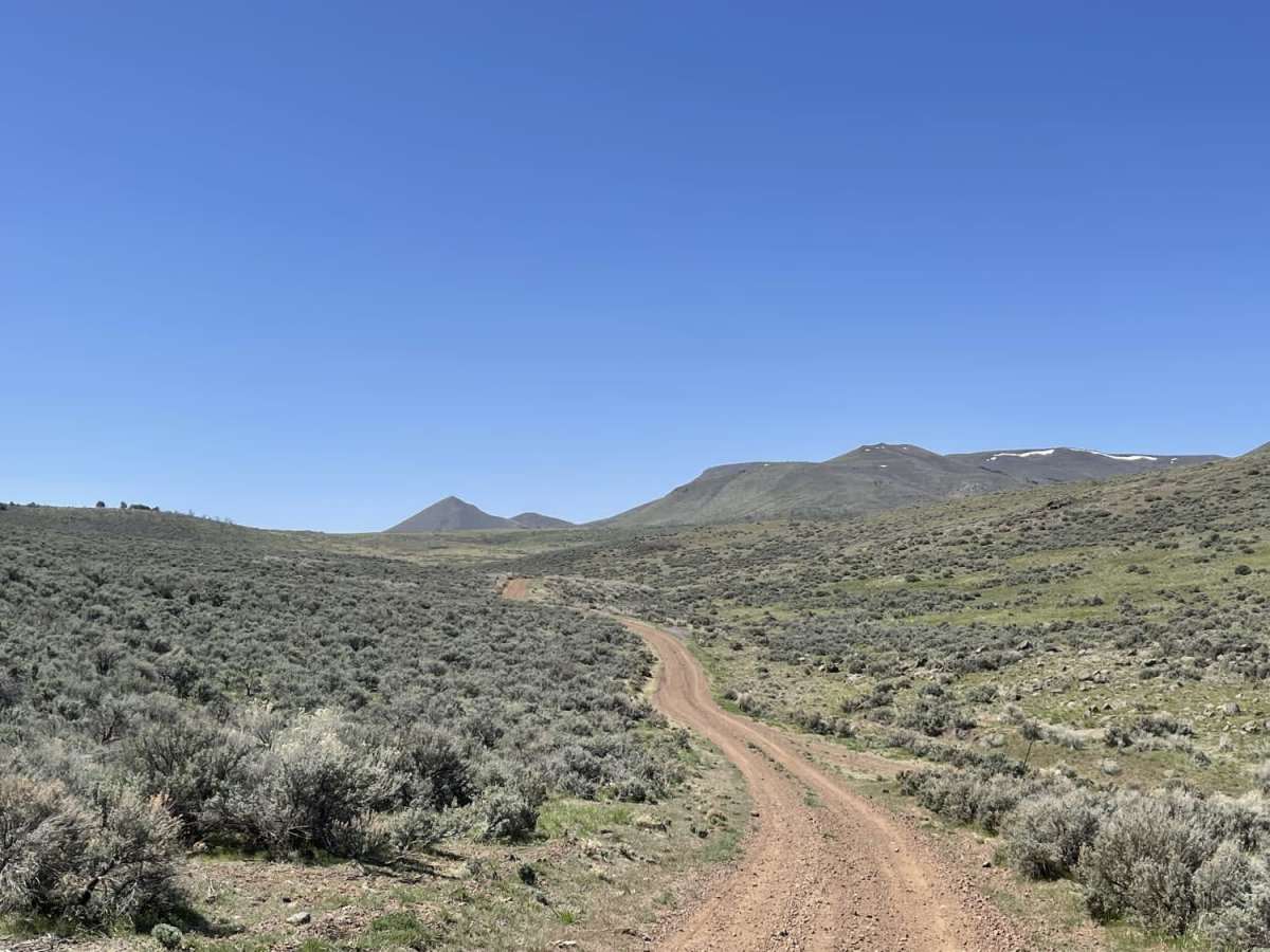 Cow Creek trail photo