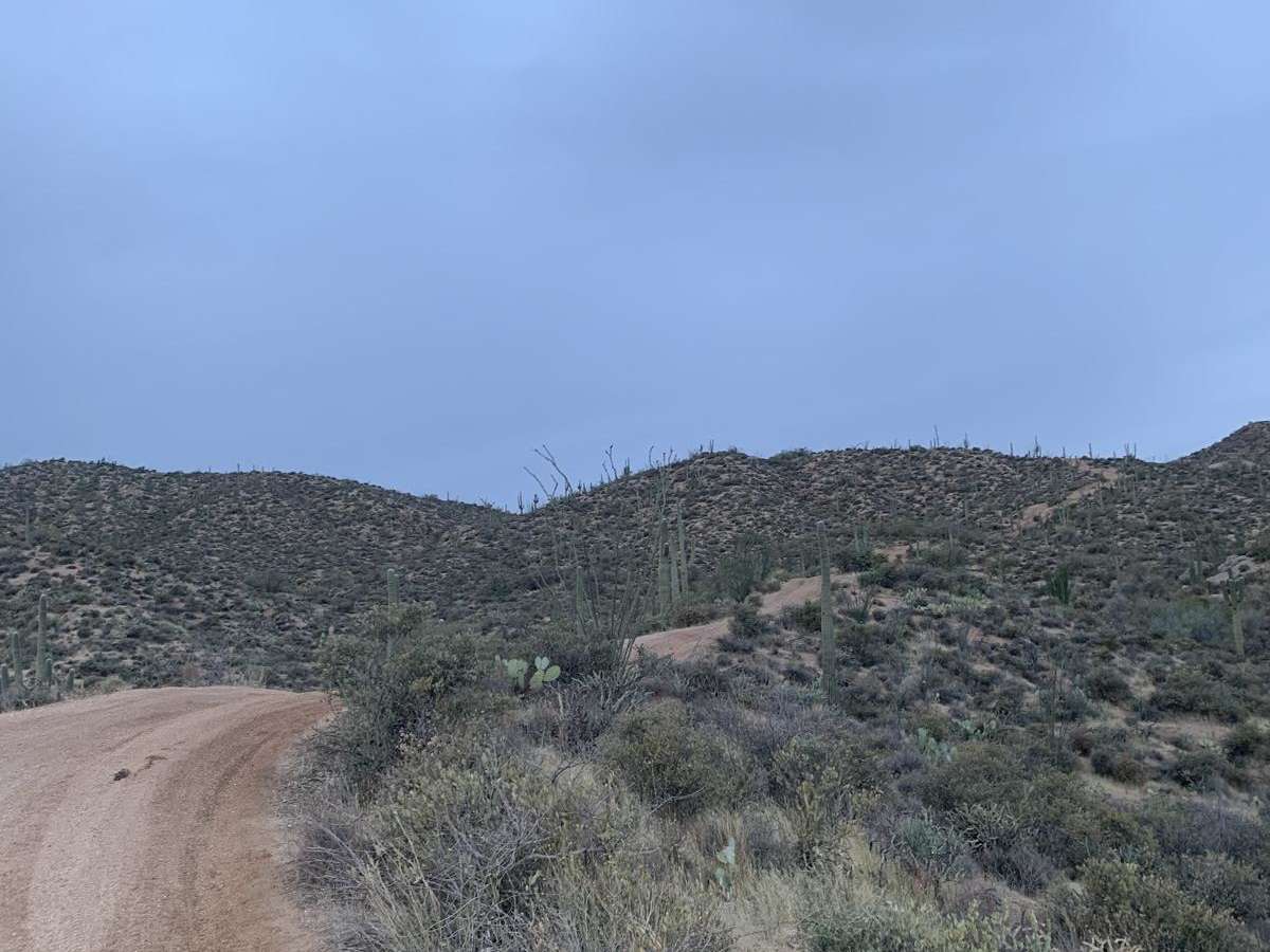 Four Peaks to Upper Sycamore Creek photo 3