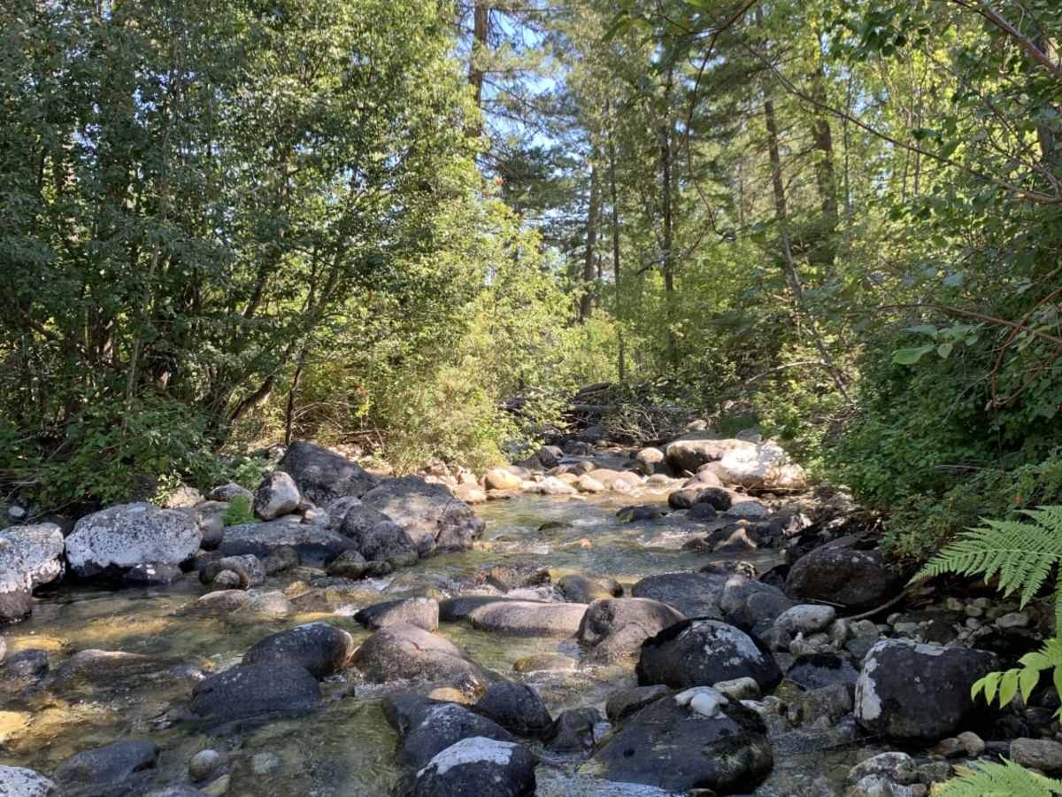 Mill Creek Trailhead photo 6