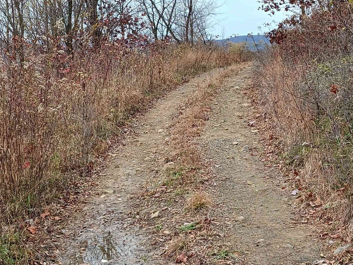 13C2 - Rock Run Recreation Area trail photo
