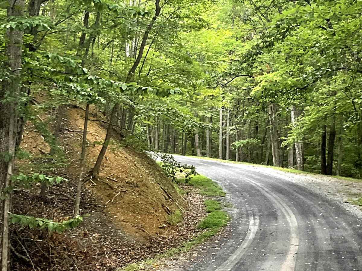 Route 654 photo 5