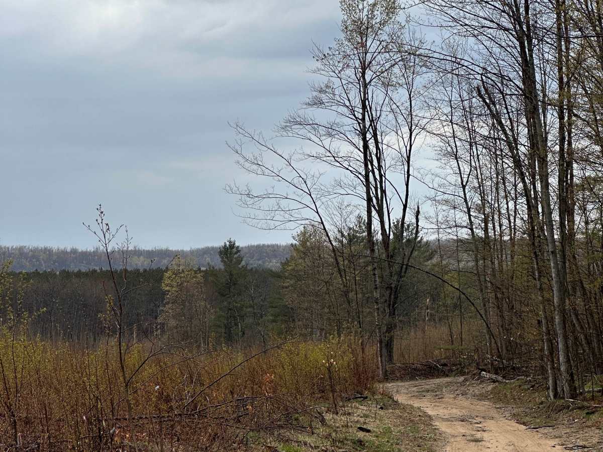 Hayesego Loop Around  photo 6