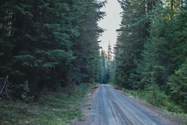 Trap Creek Loop