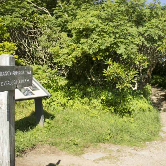 Near Pinnacle Hike at Craggy Gardens Near Pinnacle Hike at Craggy Gardens