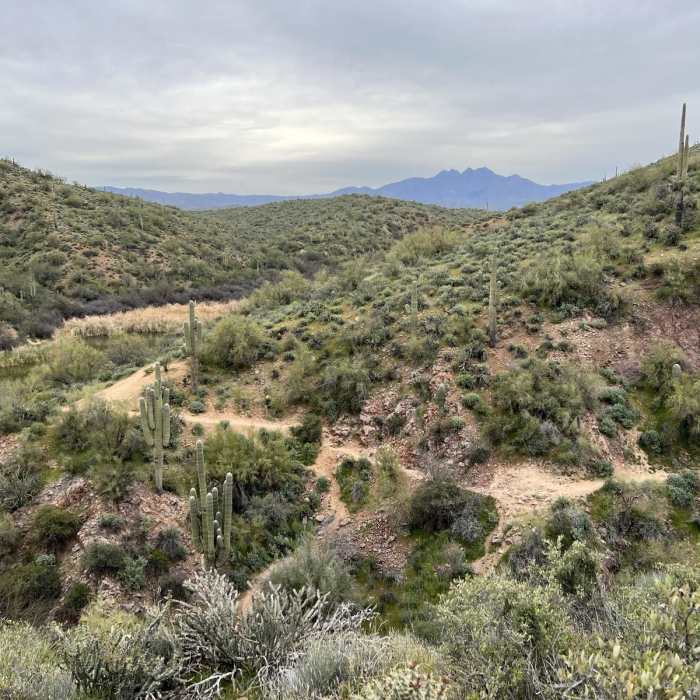 Near Butcher Jones Trail