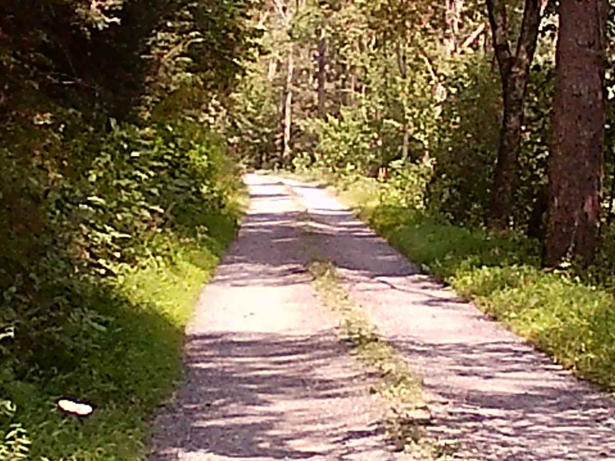 Weikert Run Road photo 3