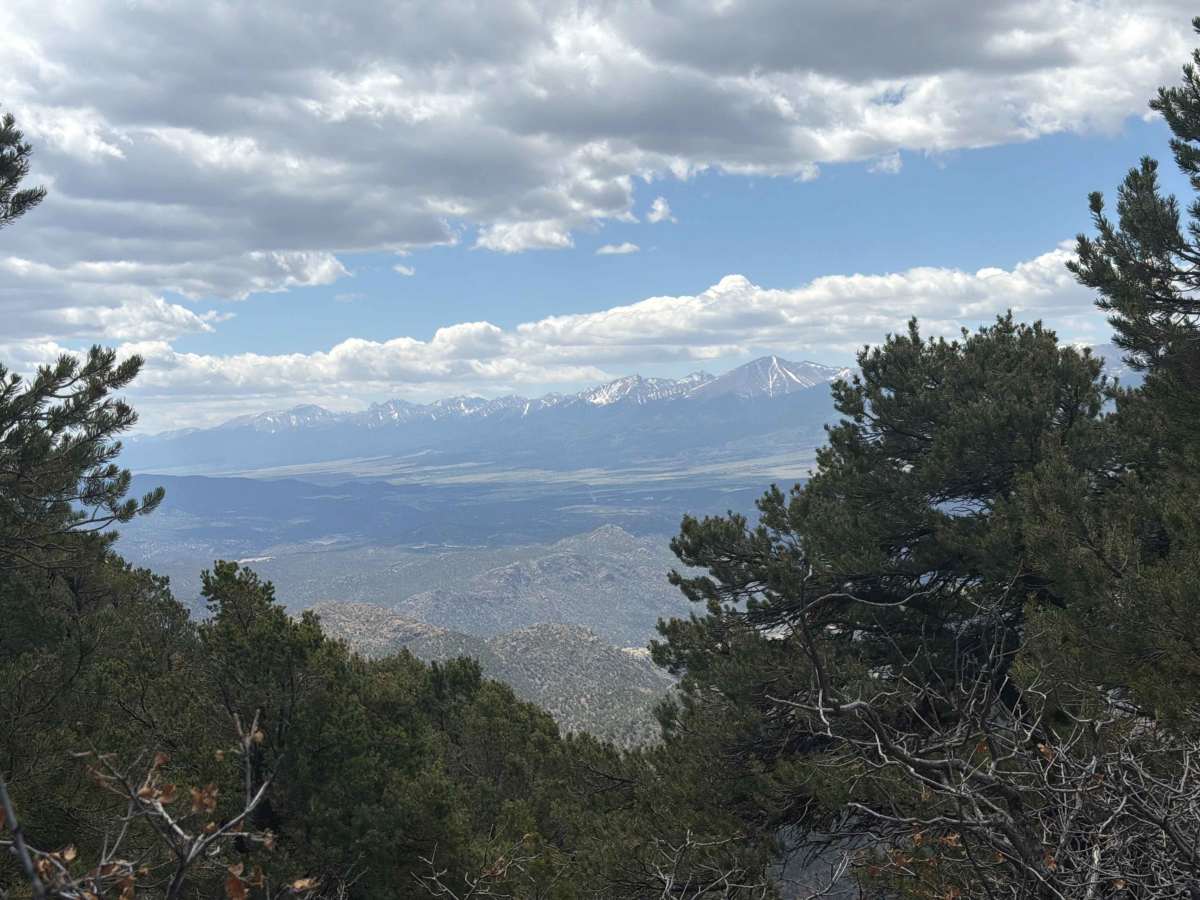 BLM 6055 photo 4