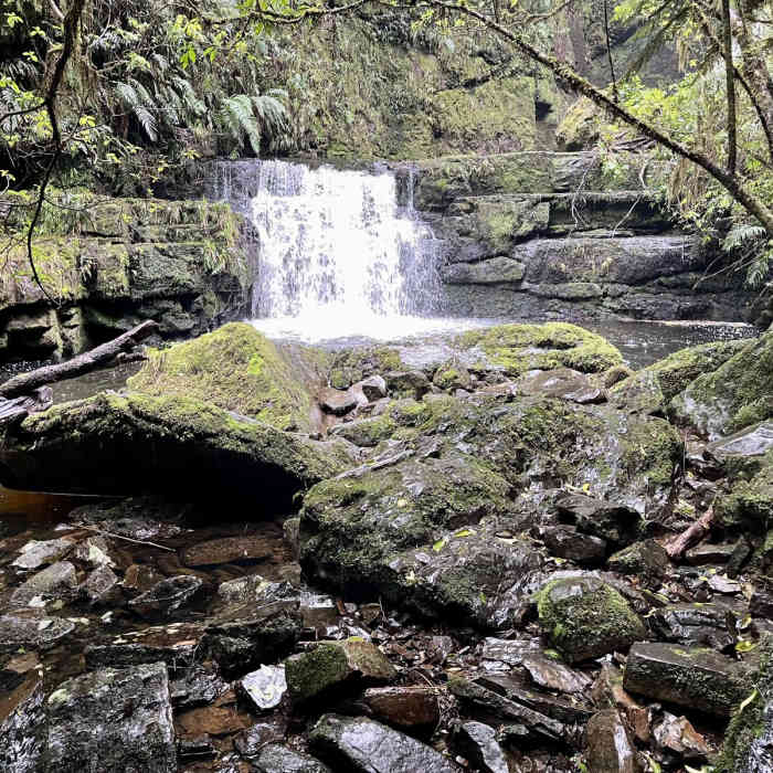 Near McLean Falls Walk