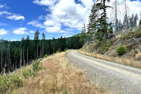 Wheeler Pond Road