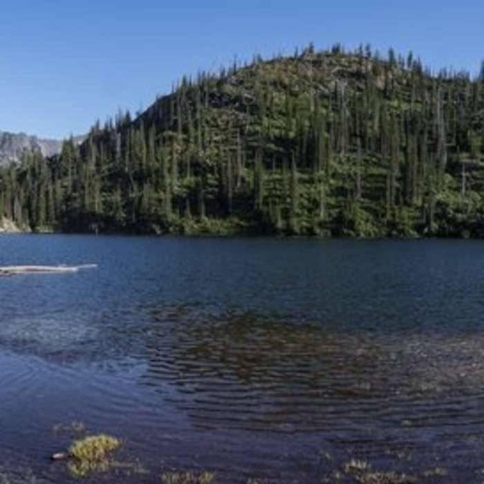 Near Kootenai Creek Trail #53