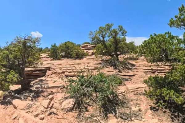 Day Canyon Access Road
