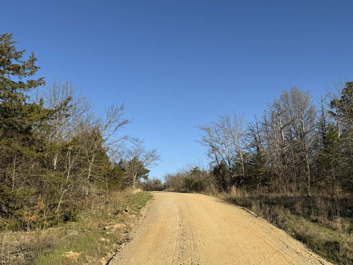 Wilderness Trail photo 6