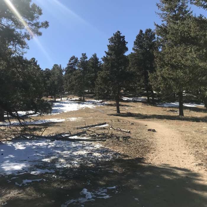 Near Genesee Mountain Trail