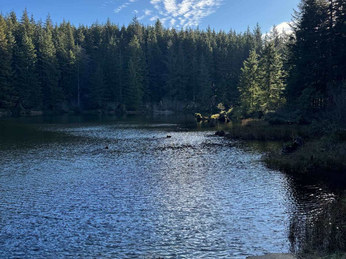 Snag and Western Lake  photo 4