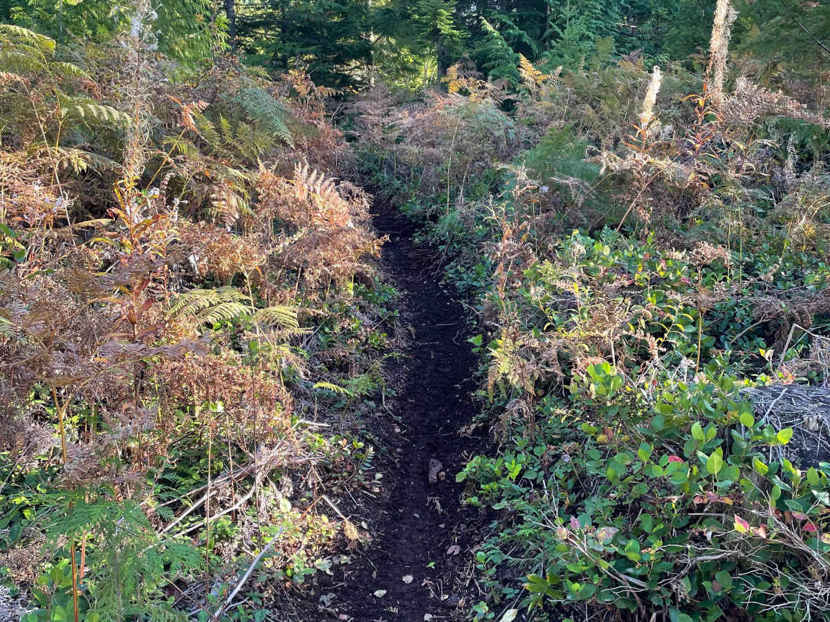 Parallel Lines photo 4