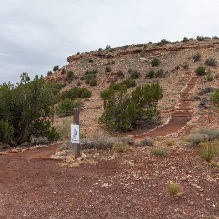 Near Pointe Near Pointe