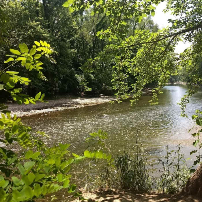 Near Marott Park North Loop