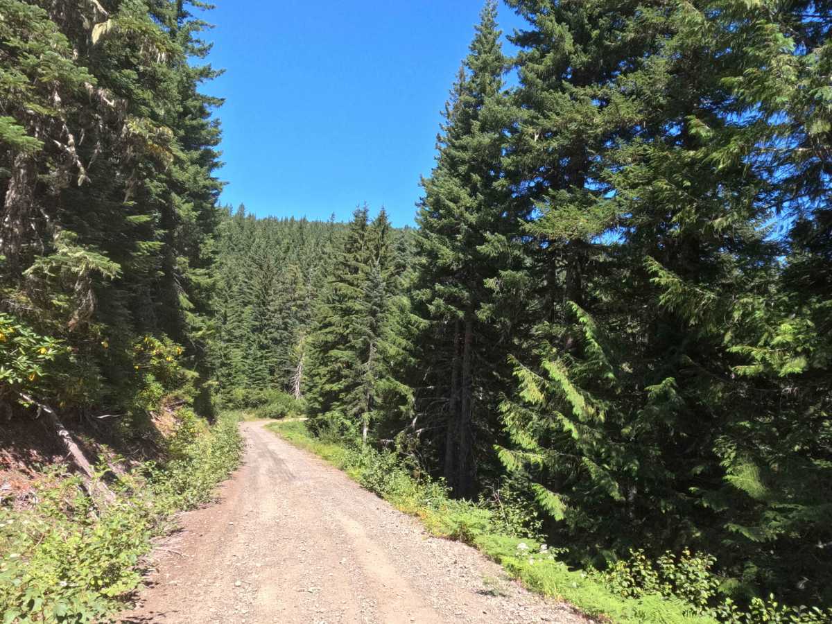 Abbott Road East - FS 4610000 photo 5