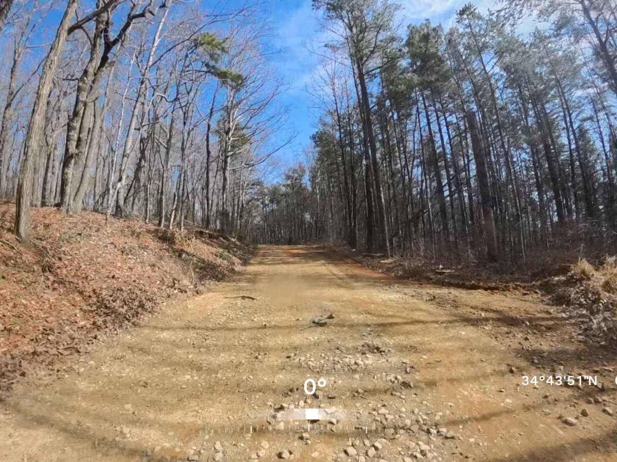 Vandiver Mountain Road - FS 418 photo 3